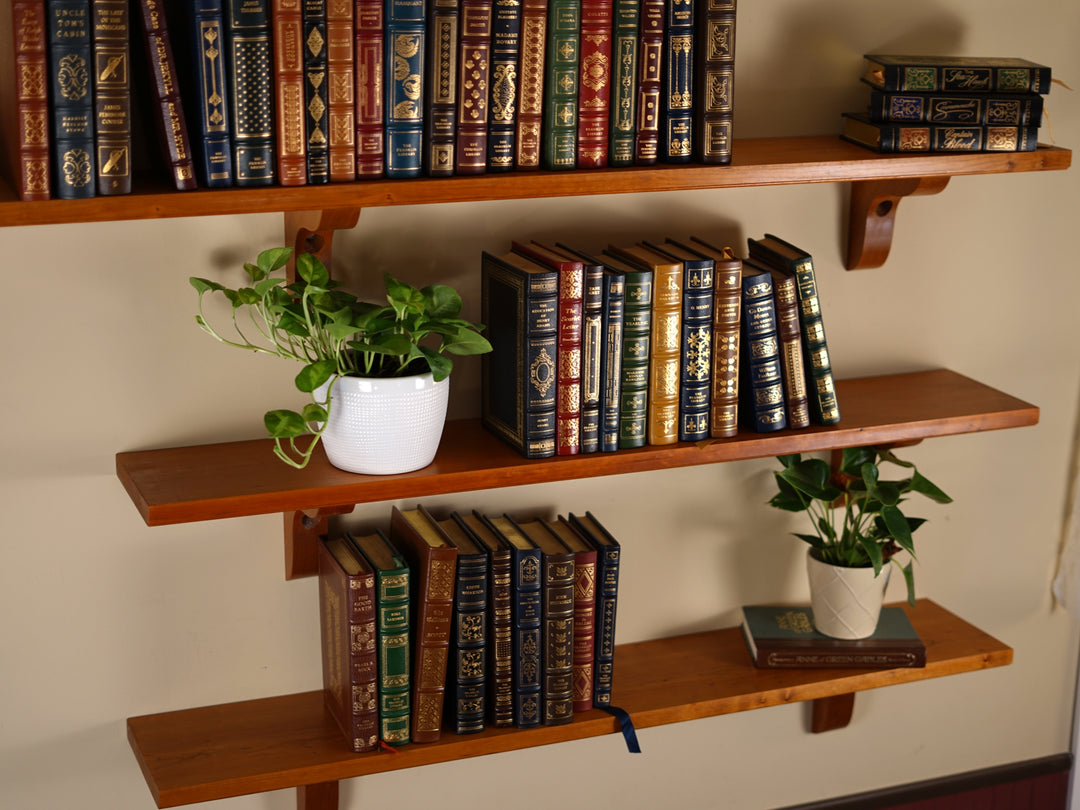 Brontë Shelves